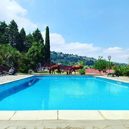 Alessio - Con Piscina Sull'etna Holiday home